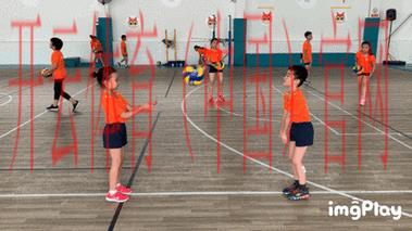 开云体育官方网站网址，全面解析热门体育项目动态